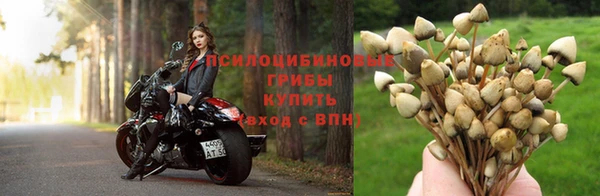 не бодяженный Армянск