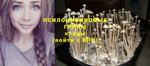 COCAINE Арсеньев