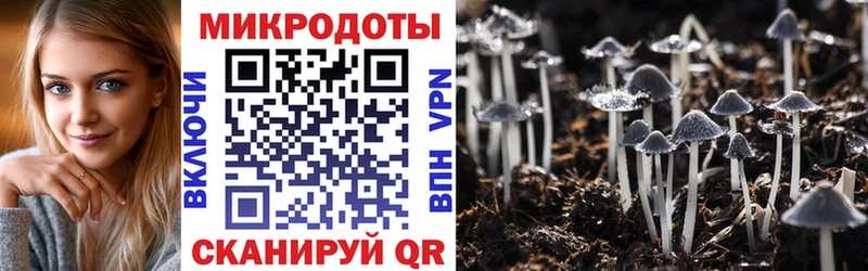 Псилоцибиновые грибы MAGIC MUSHROOMS  закладка  кракен   Солнечногорск 